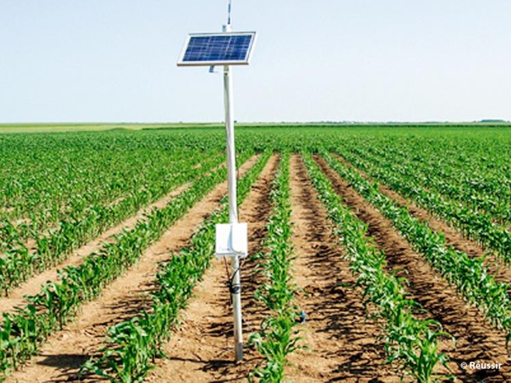 Irrigation : bien implanter les sondes capacitives