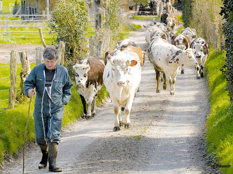 file-Les agriculteurs qui déclarent connaître des difficultés « importantes » pointent les charges d'exploitation, le poids de la réglementation environnementale et sanitaire, les prix ou encore la diminution des aides. Â© Réussir