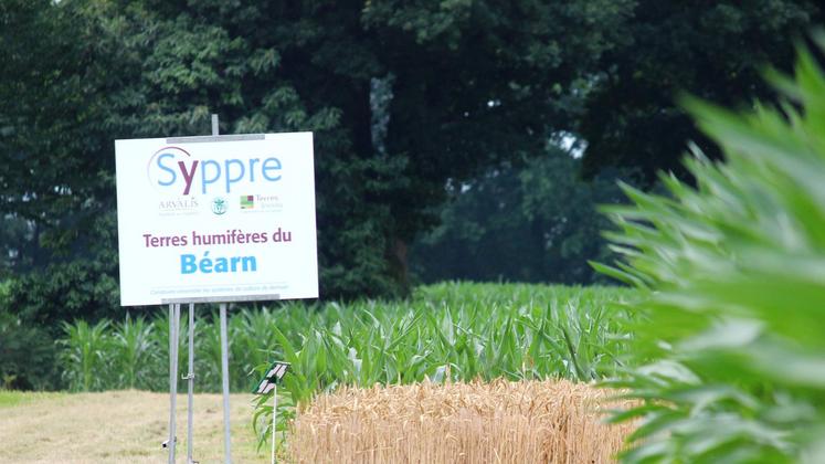 file-La plateforme agronomique Syppre est inaugurée à Sendets, près de Pau.