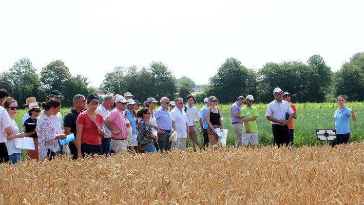 file-La plateforme agronomique Syppre est inaugurée à Sendets, près de Pau.
