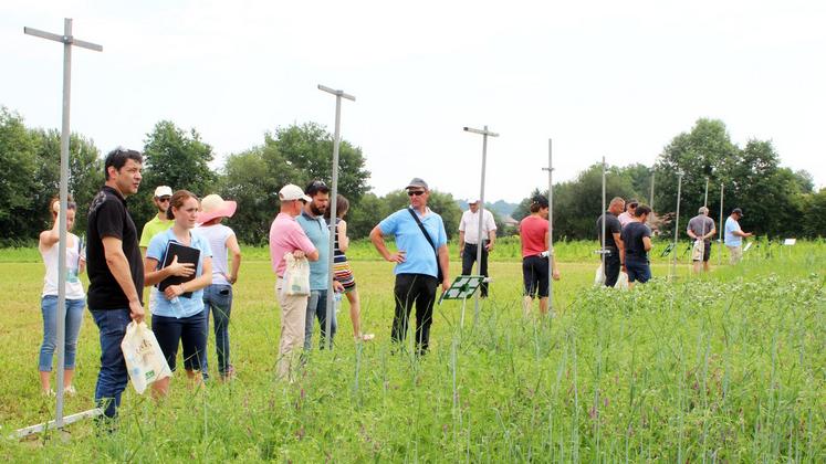 file-La plateforme agronomique Syppre est inaugurée à Sendets, près de Pau.