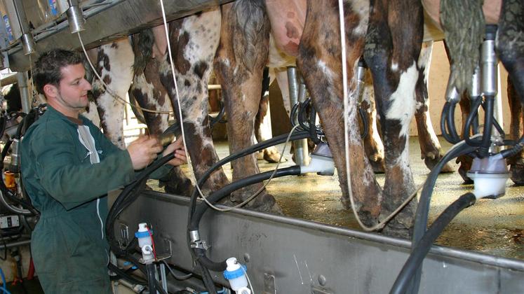 file-La production laitière brute des vaches a diminué de 20 kg en 2019.