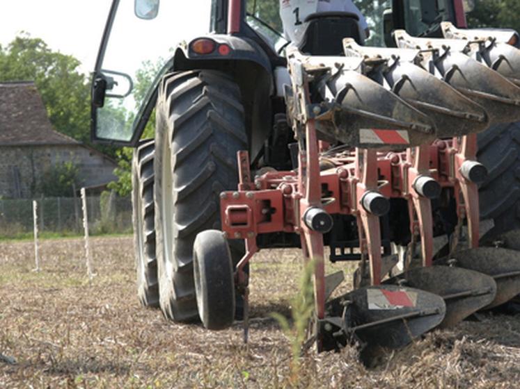 file-Cette nouvelle édition de la fête de l'agriculture départementale baptisée «Â Labour toujours » sera l'occasion pour les jeunes agriculteurs de réaffirmer le rôle de l'agriculture sur un tel territoire ® Y.A. Le Sillon