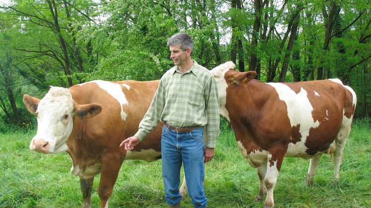 file-Les élevages français utilisent de moins en moins d’antibiotiques. Entre 2018 et 2019, la quantité vendue a chuté de 10,5%, et de l’ordre de 53,3% depuis 2011. © Photo Réussir