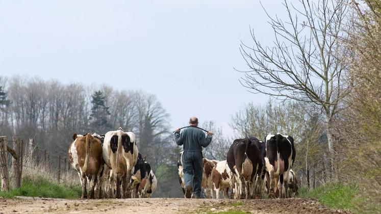 file-« Notre territoire est une terre de lait, il faut qu’il le reste ». Iban Pebet