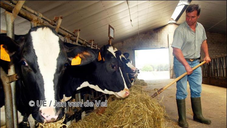 file-En Belgique, les professionnels du pays se sont mis d’accord pour mettre en place un système original: pendant six mois, la quasi-totalité des distributeurs alimentent un fonds d’aide aux producteurs de lait.