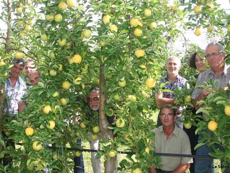 file-Les producteurs Vasconia seront présents sur le marché des producteurs de pays (MPP) de Benquet dans les Landes le 23 octobre prochain de 19h00 à  23h00