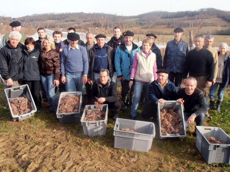 file-Les vendanges hivernales de la cave de Crouseilles tout comme les vendanges de la Saint-Sylvestre resteront un excellent cru. Les vins issus de ces récoltes seront à  la hauteur des espérances. Â©Â Le Sillon