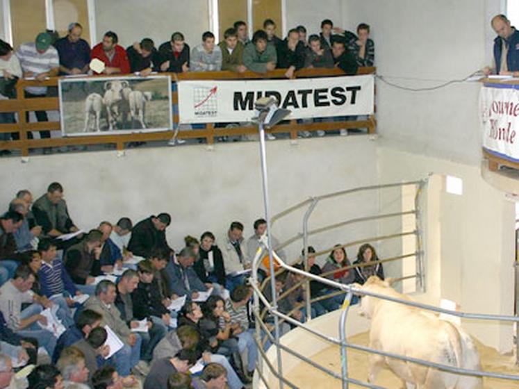 file-La vente annuelle organisée par l'Upra Blonde d'Aquitaine à  sa station de Casteljaloux est un rendez-vous incontournable pour les spécialistes de la race. Le cru 2010 n'a pas fait exception. Â© Midatest