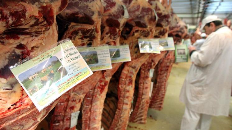 file-Alors que les ventes de viande bovine progressent, les prix aux éleveurs baissent.