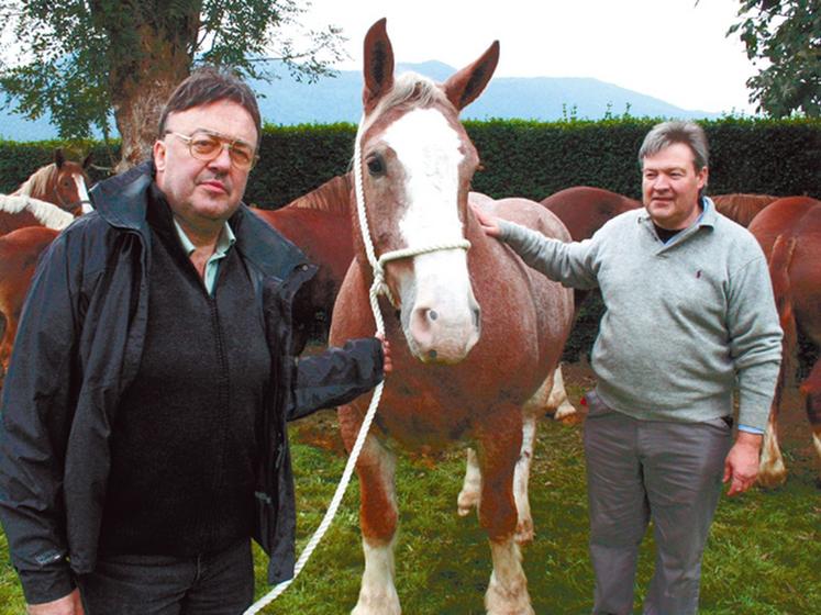 file-Jean Laborde et André Paris, respectivement vice président et président du syndicat élevage équin en vallée d'Ossau, croient en l'avenir de la production de viande équine. Â© Ph. D. / Le Sillon