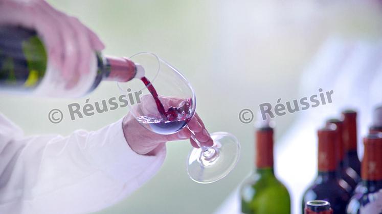 file-À l’occasion de son assemblée générale, le syndicat des vins de Tursan a fait le point sur la vendange 2015 et abordé le positionnement de ses produits sur le plan commercial.