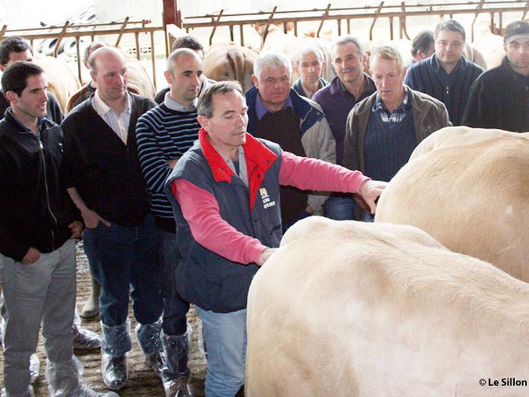 file-Après avoir évoqué plusieurs aspects de la conduite des troupeaux allaitants, la chambre d'agriculture des Landes s'interressera plus particulièrement à  l'engraissement des broutards Blonds, lors de la prochaine rencontre programmée le 13 