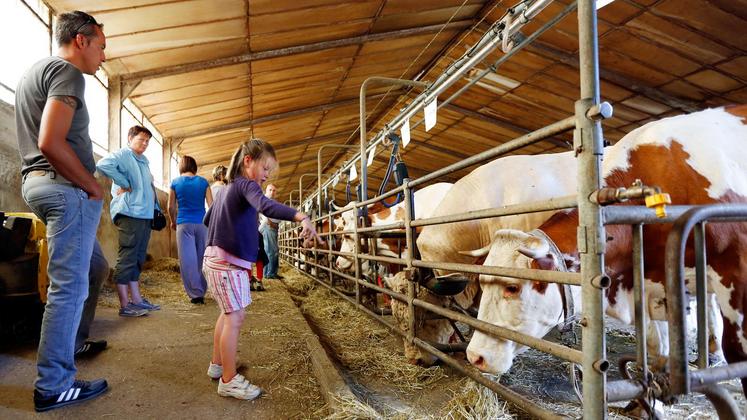 file-Dans les Landes et les Pyrénées-Atlantiques, les rencontres Made in viande, organisées par l’interprofession nationale du bétail et de la viande, se tiendront du 31 mai au 6 juin.