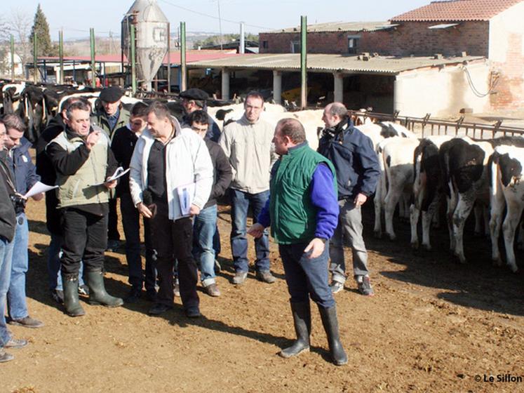 file-Au cours de leur excursion en Espagne, les membres de l'association Prim'Holstein des Pyrénées-Atlantiques ont pu partager leur goût pour la sélection génétique avec leurs homologues ibériques. Â© Le Sillon