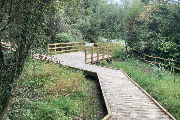 Zone humide de Loumagne aménagée avec un sentier pédagogique