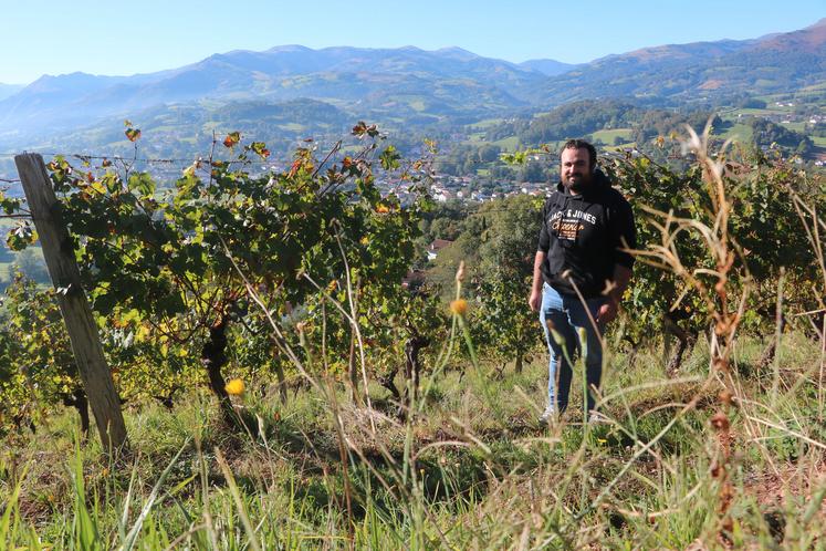 Laurent Goïty au cœur de ses vignes dans les collines du Pays basque