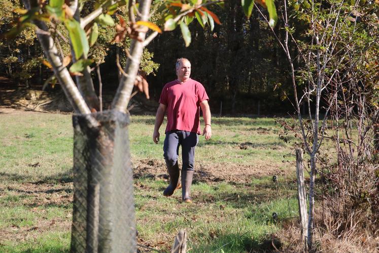 Daniel Larrieu observe ses haies bocagères depuis sa prairie.