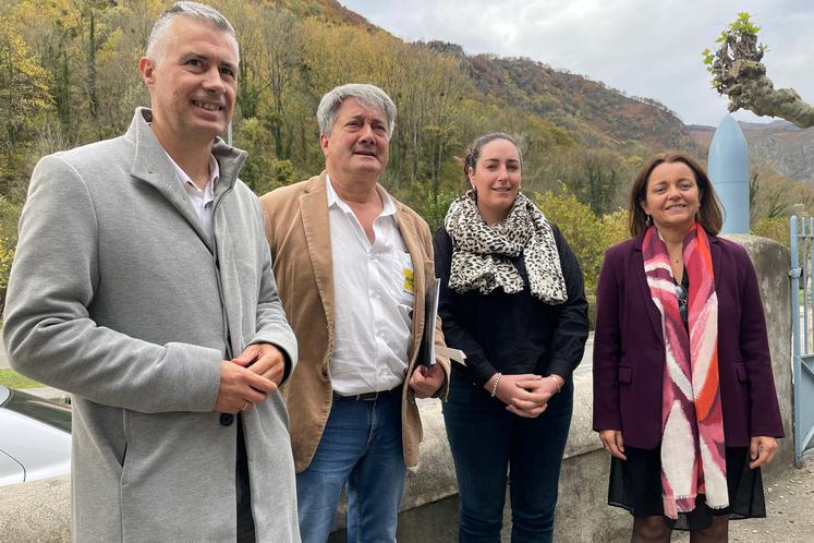 Les 4 représentants officiels posent devant les montagnes le long de la voie d'Arles