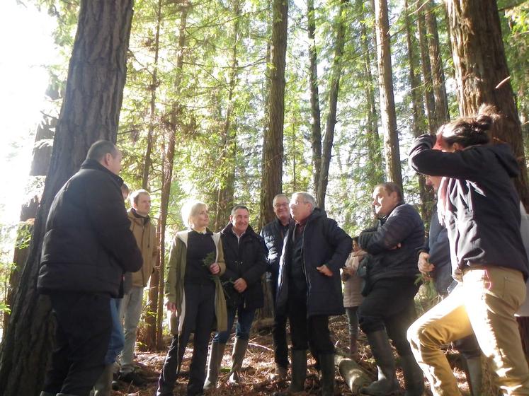 Loïc Latorre expose ses recherches aux participants au milieu des séquoias