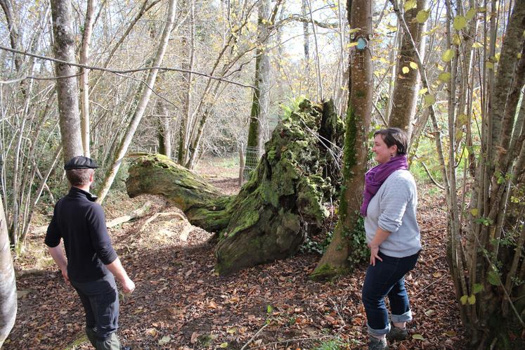 Valérie et Jean-Baptise Cazalé devant une étape du parcours