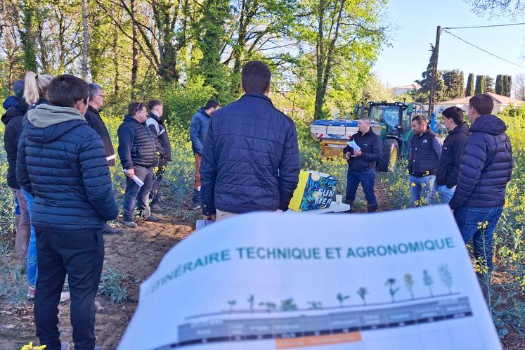 Une dizaine d’agriculteurs écoutent technicien sur une parcelle. 