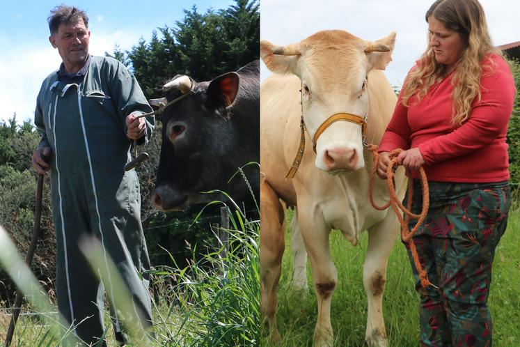 Hervé Lard avec une Bazadaise et Audrey Ladonne avec une Blonde d'Aquitaine