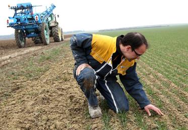 file-La France compte moins de 500.000 agriculteurs.