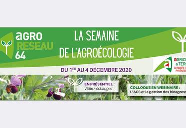 file-Du 1er au 4 décembre, Agro Réseau 64 et la chambre d'agriculture 64 proposent des webinaires et une formation sur l’agroécologie.