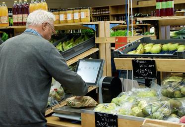 file-Depuis ce 1er janvier, à part pour les sacs de caisse à usage unique, seuls les sacs biosourcés et compostables en compostage domestique peuvent être utilisés dans les grandes surfaces.