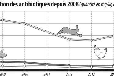 file-En 5 ans, les ventes d’antibiotiques dans les élevages français ont diminué de 23%, et depuis 1999, la baisse est de 40,4%