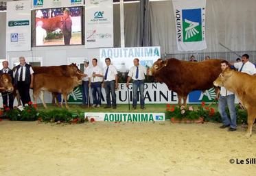 file-400 bovins de tout le Sud-Oouest sont en concours à Bordeaux