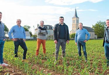 file-AGPM, FDSEA et JA des Landes, FDSEA et JA des Pyrénées-Atlantiques sont mobilisés pour faire reconnaître les pratiques des producteurs de maïs du Sud-Ouest. Et préserver un pilier de l’économie régionale.