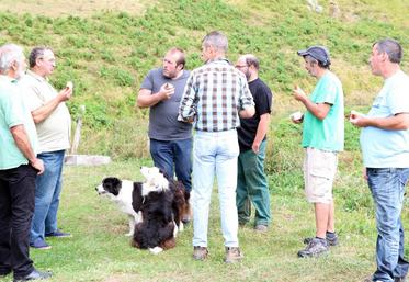 file-Le débat d’une réintroduction de deux ourses dans les Pyrénées déchaîne à nouveau les passions.