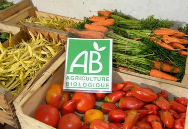 file-La valeur des achats des produits alimentaires issus de l’agriculture biologique a atteint 8,3 milliards d’euros en 2017, en croissance de près de 17% par rapport à 2016.