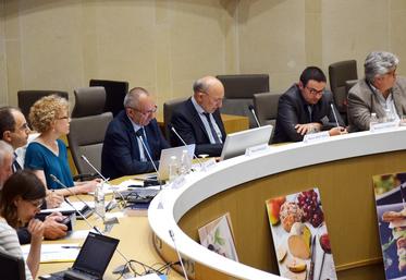 file-Réuni en salle plénière du conseil régional de Nouvelle-Aquitaine à Bordeaux, le Cifog et son président Michel Fruchet ont présenté le pacte défendu par la filière.