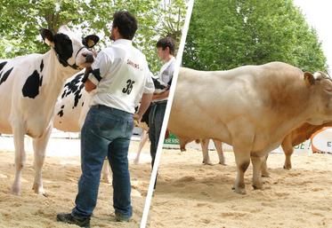 file-Organisée par la chambre d’agriculture et la fédération des comices, la Journée de l’élevage rassemble le meilleur de l’élevage du département des Pyrénées-Atlantiques en termes de sélection génétique, tant en élevage laitier qu’en élevage allaitant.