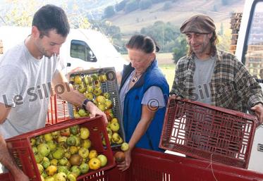 file-Cette année ce sont près de 200 tonnes de pommes — Peatxa, Gordin Xuria, Mamla ou encore Anixa — qui seront travaillées à la coopérative Eztigar.