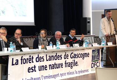 file- L’assemblée générale de la DFCI a été l’occasion de faire un point sur l’avancement des travaux menés pour effacer au plus tôt les traces encore visibles sur le terrain, six ans après le passage de la tempête Klaus.