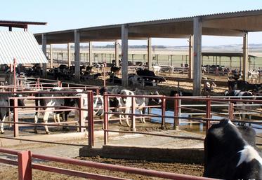 file-Avec environ 25 000 exploitations laitières pour moins d'un million de vaches, la filière laitière espagnole se décline selon deux contextes pédo-climatiques très différents. En Espagne sèche, les ateliers se démarquent par leur intensification. Â© L