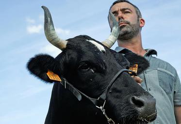 file-Après la landaise Cerise, l’égérie 2017 de ce salon sera Fine, une vache bretonne pie-noir. «On s’installe d’abord par passion» précise son éleveur Cédric Briand