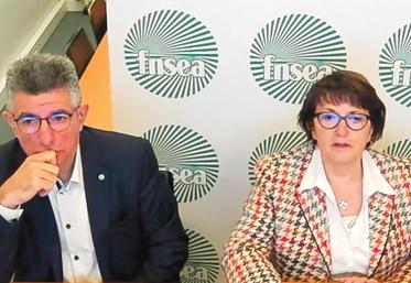 file-La présidente de la FNSEA, Christiane Lambert, et le second vice-président, Henri Bies-Péré, ont présenté ce 4 janvier les attentes du syndicat pour les prochaines échéances électorales.