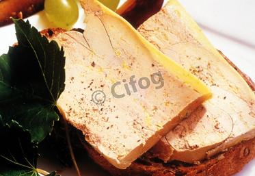 file-Résultats extrêmement positifs pour l’IGP «canards à foie gras du Sud-Ouest». 