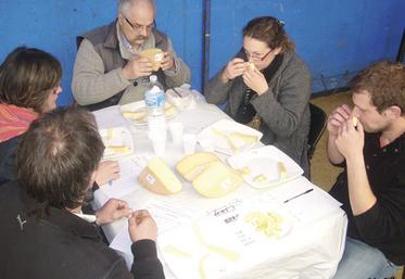 file-Répartis sur différentes tables, les 70 membres du jury ont eu beaucoup de mal à  départager les fromages en concours. Preuve que la qualité était au rendez-vous Â© Le Sillon
