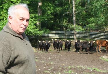 file-Jean-Louis Deyris, devant le lot de vaches parmi lesquelles sera choisie celle qui ouvrira le festival Art et courage. « On demande aux coursières d'avoir une attaque franche, mais aussi de faire preuve de noblesse », explique-t-il.