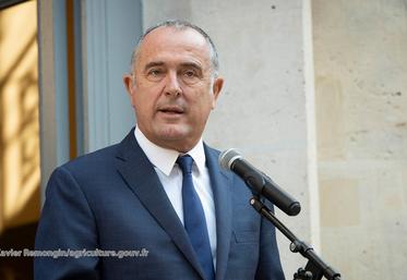 file-Didier Guillaume, ministre de l'Agriculture.