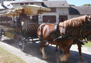 file-Les haras de Pau-Gelos  se sont dotés d’une nouvelle calèche spécialement adaptée pour des visiteurs à mobilité réduite, qu’il s’agisse du transport ou de la conduite.