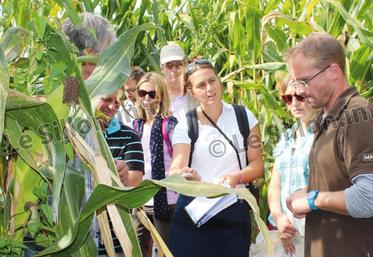 file-De nombreux témoignages et des interventions sur le terrain ont abordé la thématique de la réduction de l’utilisation des produits phytosanitaires. Une pratique qui peut permettre de « faire des économies sur les exploitations ».