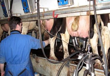 file-La FNPL appelle les éleveurs à diminuer, en avril, leur production laitière.