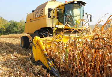 file-Au 28 septembre, il restait près des deux tiers des surfaces de maïs grain à récolter dans la région selon les données de l’observatoire Céré’Obs.